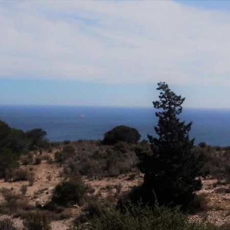 Modern Flat At Garbinet With Wifi Apartment Alicante Luaran gambar
