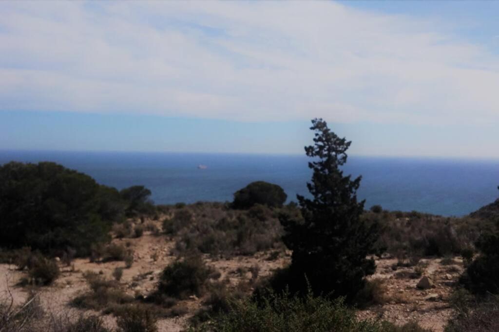 Modern Flat At Garbinet With Wifi Apartment Alicante Luaran gambar